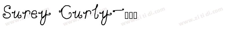Surey Curly字体转换
